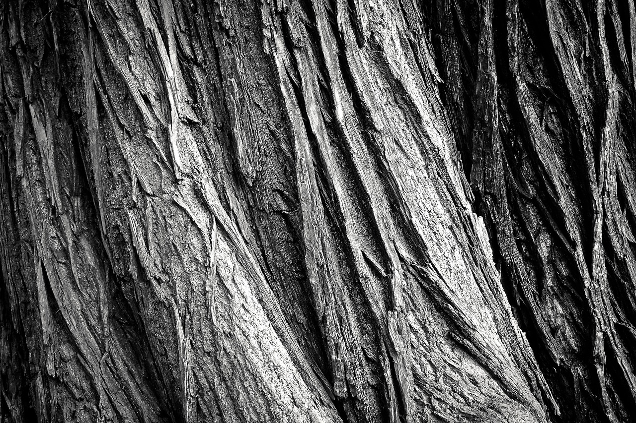 Black Walnut Wood: Long-Lasting, Rich, and Worth Every Dollar