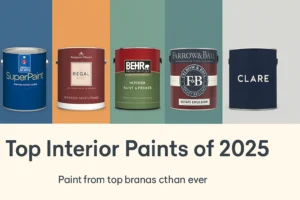 Read more about the article 10 Best Paints for Indoor Walls in 2025