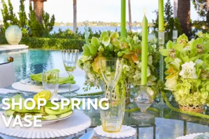 Read more about the article Shop Spring Vase Full Buyer Guide 2025: Safe, Stylish, and Worth It?